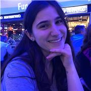 Doy clases particulares a niños de primaria en inglés